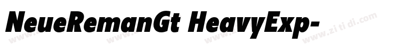 NeueRemanGt HeavyExp字体转换
